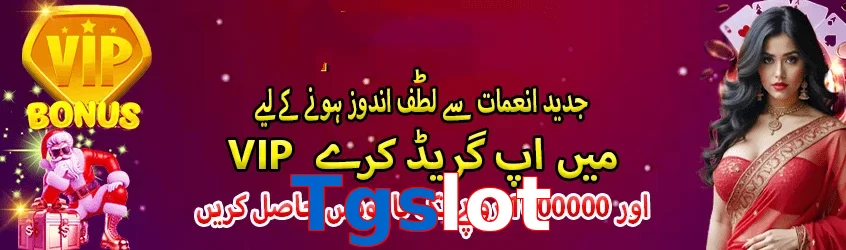 Tgslot interface sample